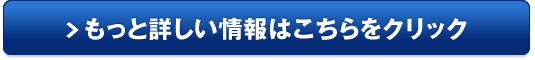 バーチャルオフィスサービス「和文化推進協会」販売サイトへ